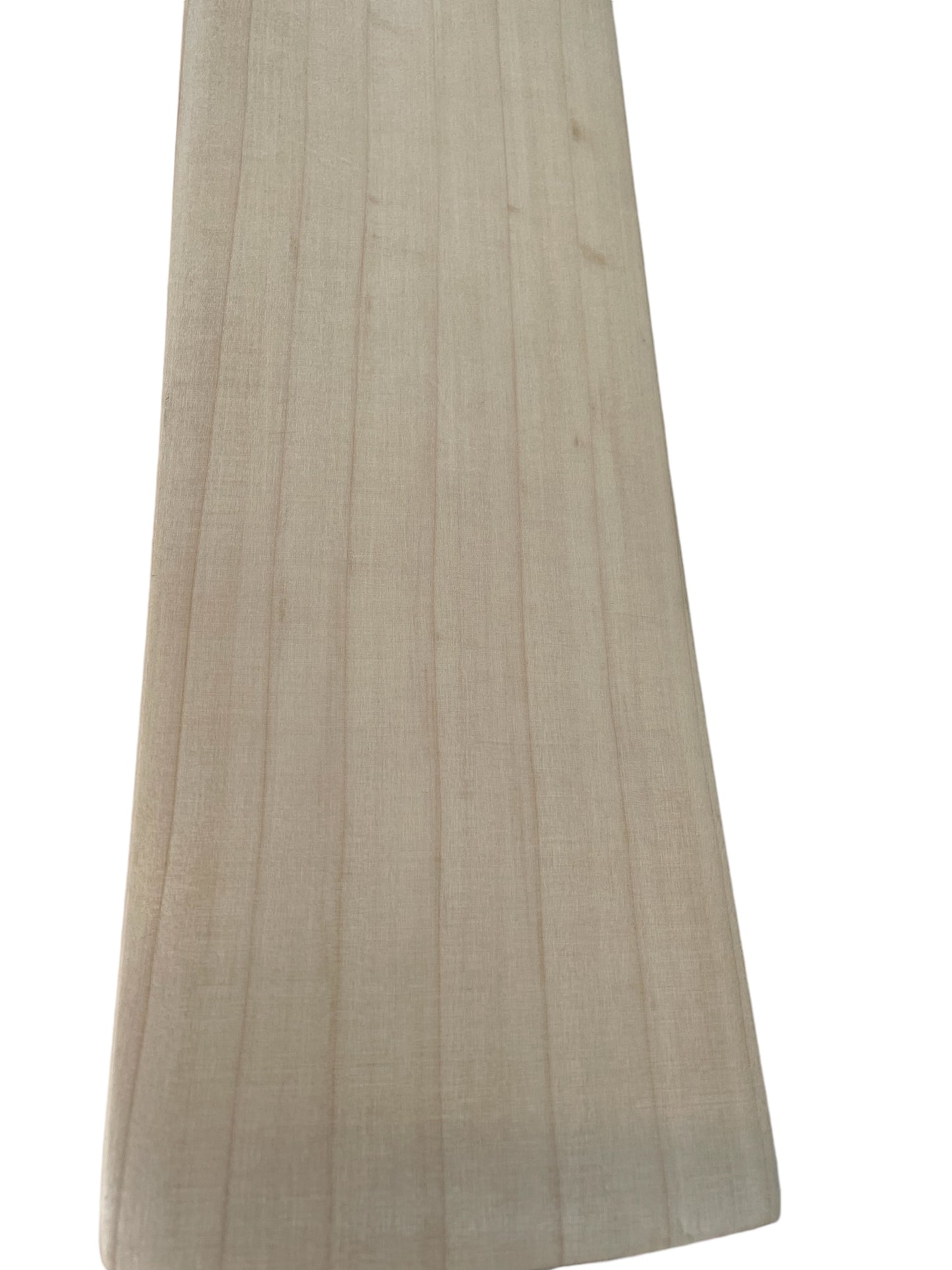 Cricket Bat - Pro Edition 1.0